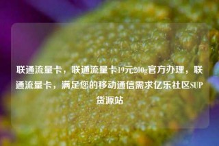 联通流量卡，联通流量卡19元200g官方办理，联通流量卡，满足您的移动通信需求亿乐社区SUP货源站