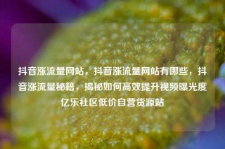 抖音涨流量网站，抖音涨流量网站有哪些，抖音涨流量秘籍，揭秘如何高效提升视频曝光度亿乐社区低价自营货源站