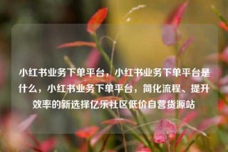 小红书业务下单平台，小红书业务下单平台是什么，小红书业务下单平台，简化流程、提升效率的新选择亿乐社区低价自营货源站