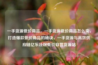 一手货源低价商品，一手货源低价商品怎么卖，打造爆款低价商品的秘诀，一手货源与高效供应链亿乐社区低价自营货源站