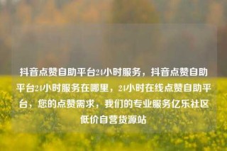 抖音点赞自助平台24小时服务，抖音点赞自助平台24小时服务在哪里，24小时在线点赞自助平台，您的点赞需求，我们的专业服务亿乐社区低价自营货源站