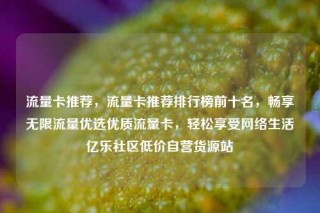 流量卡推荐，流量卡推荐排行榜前十名，畅享无限流量优选优质流量卡，轻松享受网络生活亿乐社区低价自营货源站