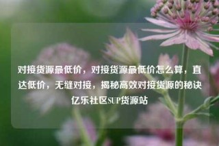 对接货源最低价，对接货源最低价怎么算，直达低价，无缝对接，揭秘高效对接货源的秘诀亿乐社区SUP货源站