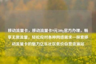 移动流量卡，移动流量卡9元300g官方办理，畅享无限流量，轻松应对各种网络需求—探索移动流量卡的魅力亿乐社区低价自营货源站