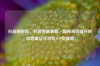 抖音刷粉丝，抖音营销策略，如何高效提升粉丝数量亿乐社区SUP货源站