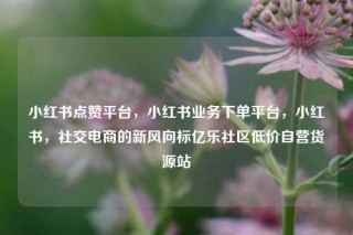 小红书点赞平台，小红书业务下单平台，小红书，社交电商的新风向标亿乐社区低价自营货源站