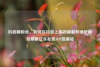 抖音刷粉丝，如何在抖音上高效刷取并维护粉丝基数亿乐社区SUP货源站