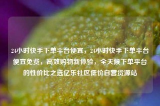 24小时快手下单平台便宜，24小时快手下单平台便宜免费，高效购物新体验，全天候下单平台的性价比之选亿乐社区低价自营货源站