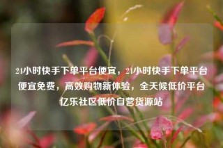 24小时快手下单平台便宜，24小时快手下单平台便宜免费，高效购物新体验，全天候低价平台亿乐社区低价自营货源站