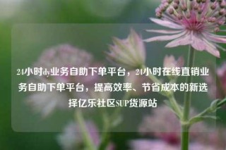 24小时dy业务自助下单平台，24小时在线直销业务自助下单平台，提高效率、节省成本的新选择亿乐社区SUP货源站