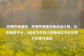 哔哩哔哩播放，哔哩哔哩播放量收益计算，在线视频平台，B站成为年轻人的新宠亿乐社区低价自营货源站