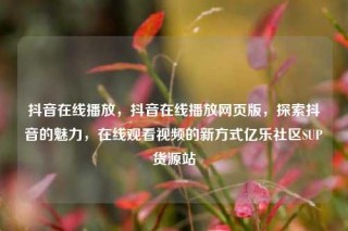 抖音在线播放，抖音在线播放网页版，探索抖音的魅力，在线观看视频的新方式亿乐社区SUP货源站