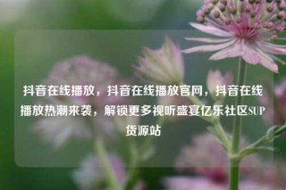 抖音在线播放，抖音在线播放官网，抖音在线播放热潮来袭，解锁更多视听盛宴亿乐社区SUP货源站