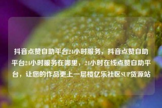 抖音点赞自助平台24小时服务，抖音点赞自助平台24小时服务在哪里，24小时在线点赞自助平台，让您的作品更上一层楼亿乐社区SUP货源站