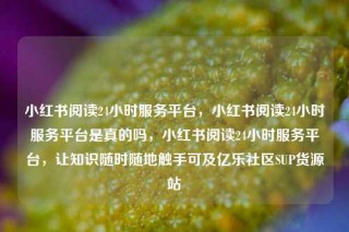 小红书阅读24小时服务平台，小红书阅读24小时服务平台是真的吗，小红书阅读24小时服务平台，让知识随时随地触手可及亿乐社区SUP货源站