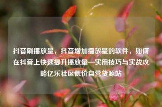 抖音刷播放量，抖音增加播放量的软件，如何在抖音上快速提升播放量—实用技巧与实战攻略亿乐社区低价自营货源站