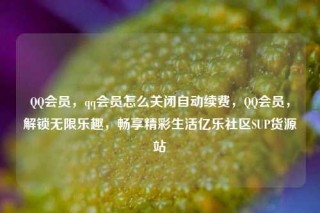 QQ会员，qq会员怎么关闭自动续费，QQ会员，解锁无限乐趣，畅享精彩生活亿乐社区SUP货源站