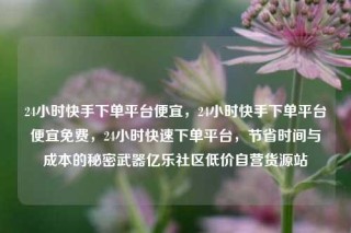 24小时快手下单平台便宜，24小时快手下单平台便宜免费，24小时快速下单平台，节省时间与成本的秘密武器亿乐社区低价自营货源站