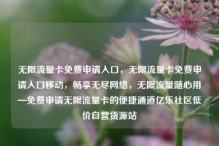 无限流量卡免费申请入口，无限流量卡免费申请入口移动，畅享无尽网络，无限流量随心用—免费申请无限流量卡的便捷通道亿乐社区低价自营货源站