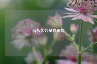 qq永久会员秒刷网