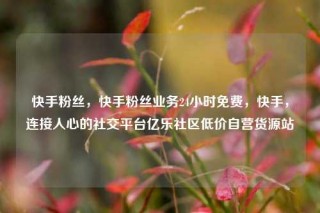 快手粉丝，快手粉丝业务24小时免费，快手，连接人心的社交平台亿乐社区低价自营货源站