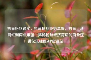抖音粉丝购买，抖音粉丝业务套餐，抖音，从网红到商业帝国—揭秘粉丝经济背后的商业逻辑亿乐社区SUP货源站