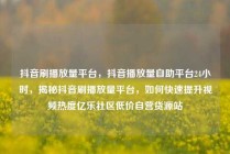 抖音刷播放量平台，抖音播放量自助平台24小时，揭秘抖音刷播放量平台，如何快速提升视频热度亿乐社区低价自营货源站