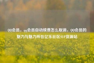 QQ会员，qq会员自动续费怎么取消，QQ会员的魅力与魅力所在亿乐社区SUP货源站