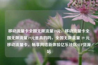 移动流量卡全国无限流量19元，移动流量卡全国无限流量19元是真的吗，全国无限流量 19 元 移动流量卡，畅享网络新体验亿乐社区SUP货源站