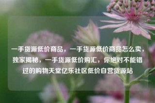 一手货源低价商品，一手货源低价商品怎么卖，独家揭秘，一手货源低价购汇，你绝对不能错过的购物天堂亿乐社区低价自营货源站