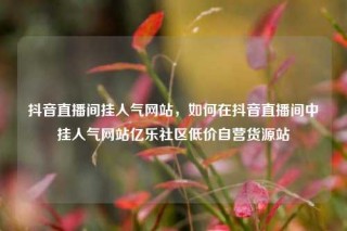 抖音直播间挂人气网站，如何在抖音直播间中挂人气网站亿乐社区低价自营货源站