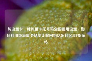 纯流量卡，纯流量卡无号码全国通用流量，如何利用纯流量卡畅享无限网络亿乐社区SUP货源站