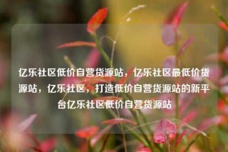 亿乐社区低价自营货源站，亿乐社区最低价货源站，亿乐社区，打造低价自营货源站的新平台亿乐社区低价自营货源站