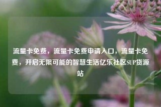 流量卡免费，流量卡免费申请入口，流量卡免费，开启无限可能的智慧生活亿乐社区SUP货源站