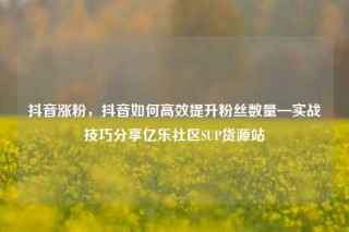 抖音涨粉，抖音如何高效提升粉丝数量—实战技巧分享亿乐社区SUP货源站