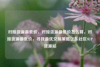 对接货源最低价，对接货源最低价怎么算，对接货源最低价，寻找最优交易策略亿乐社区SUP货源站