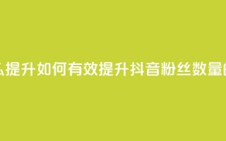 抖音有效粉丝怎么提升 - 如何有效提升抖音粉丝数量的方法分享！
