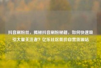 抖音刷粉丝，揭秘抖音刷粉秘籍，如何快速吸引大量关注者？亿乐社区低价自营货源站