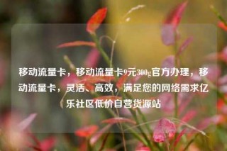 移动流量卡，移动流量卡9元300g官方办理，移动流量卡，灵活、高效，满足您的网络需求亿乐社区低价自营货源站