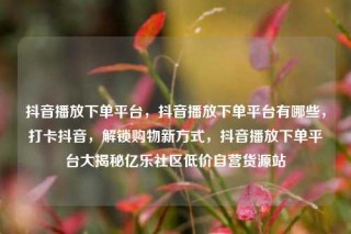 抖音播放下单平台，抖音播放下单平台有哪些，打卡抖音，解锁购物新方式，抖音播放下单平台大揭秘亿乐社区低价自营货源站