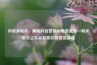 抖音买粉丝，揭秘抖音营销的秘密武器—购买粉丝亿乐社区低价自营货源站