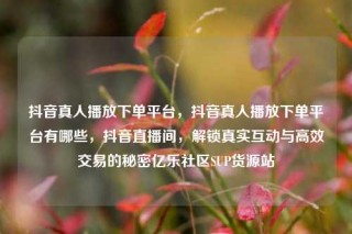 抖音真人播放下单平台，抖音真人播放下单平台有哪些，抖音直播间，解锁真实互动与高效交易的秘密亿乐社区SUP货源站
