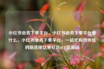 小红书业务下单平台，小红书业务下单平台是什么，小红书业务下单平台，一站式购物体验的新选择亿乐社区SUP货源站