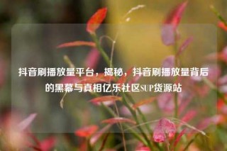 抖音刷播放量平台，揭秘，抖音刷播放量背后的黑幕与真相亿乐社区SUP货源站