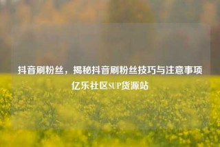 抖音刷粉丝，揭秘抖音刷粉丝技巧与注意事项亿乐社区SUP货源站