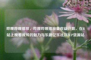 哔哩哔哩播放，哔哩哔哩播放量收益计算，在B站上观看视频的魅力与乐趣亿乐社区SUP货源站