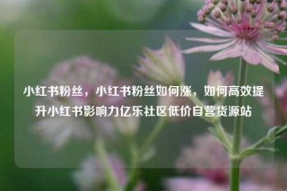 小红书粉丝，小红书粉丝如何涨，如何高效提升小红书影响力亿乐社区低价自营货源站