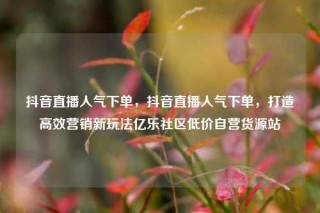 抖音直播人气下单，抖音直播人气下单，打造高效营销新玩法亿乐社区低价自营货源站