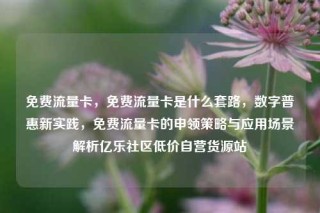 免费流量卡，免费流量卡是什么套路，数字普惠新实践，免费流量卡的申领策略与应用场景解析亿乐社区低价自营货源站