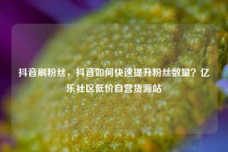 抖音刷粉丝，抖音如何快速提升粉丝数量？亿乐社区低价自营货源站